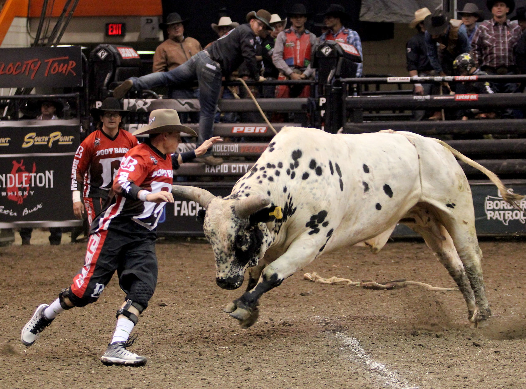 PBR 8.jpg